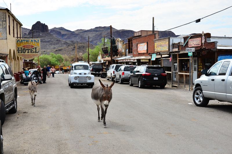 Oatman, Arizona