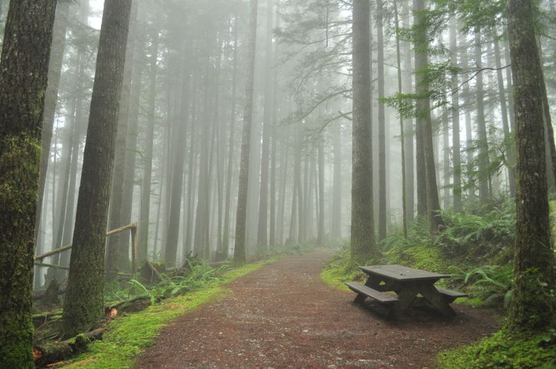 Wallace Falls Trail, Washington
