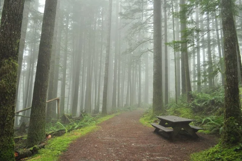 Wallace Falls Trail, Washington