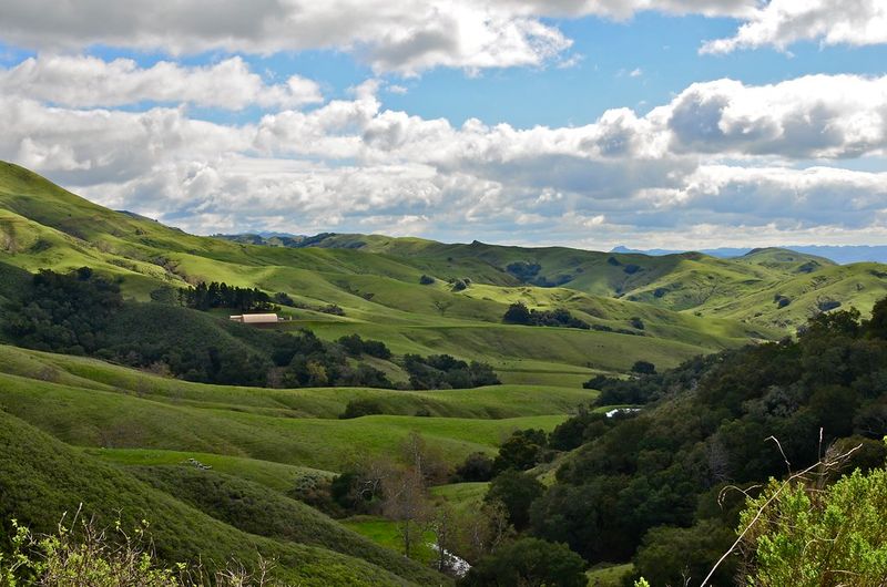 Paso Robles to Cambria
