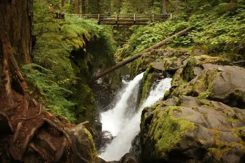 Sol Duc Falls Trail, Olympic National Park, Washington