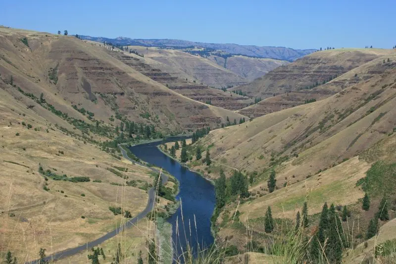 Wildlife watching in the Grande Ronde River Valley