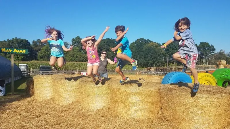 Connors Farm