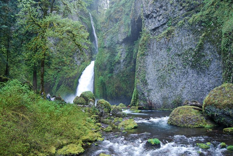 Wahclella Falls (Columbia River Gorge)