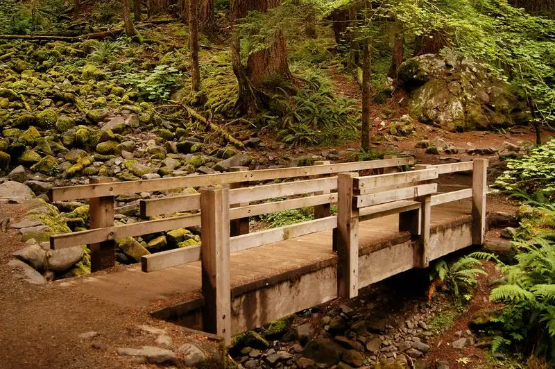 Sol Duc Falls Trail