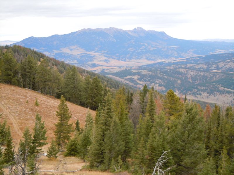 Hiking Trails in the Bridger Mountains