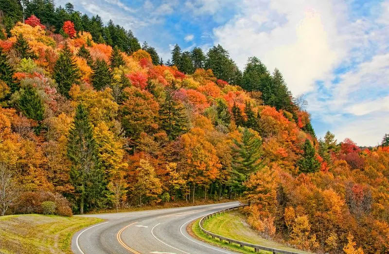Clingmans Dome Road