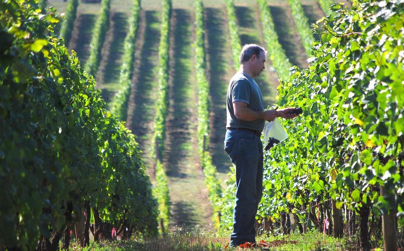 Willamette Valley, Oregon