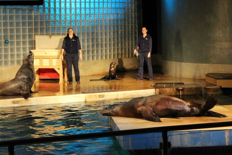 Mystic Aquarium