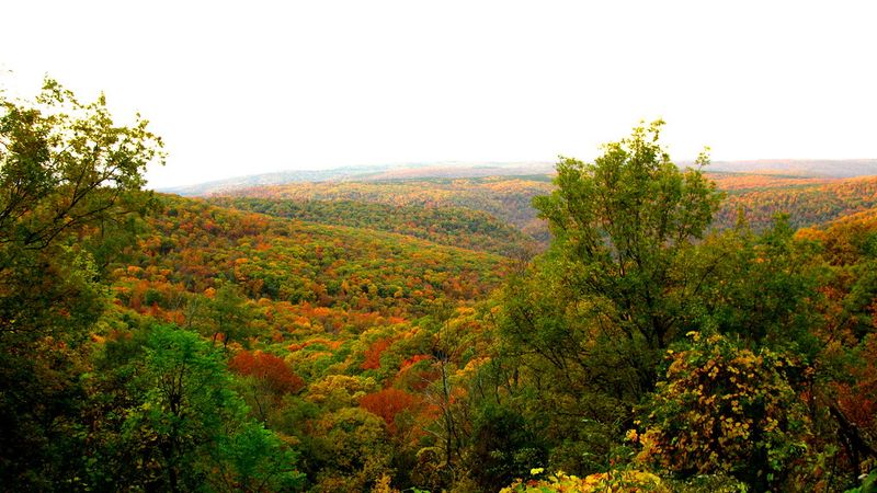 Breathtaking Fall Foliage in the Ozark Mountains