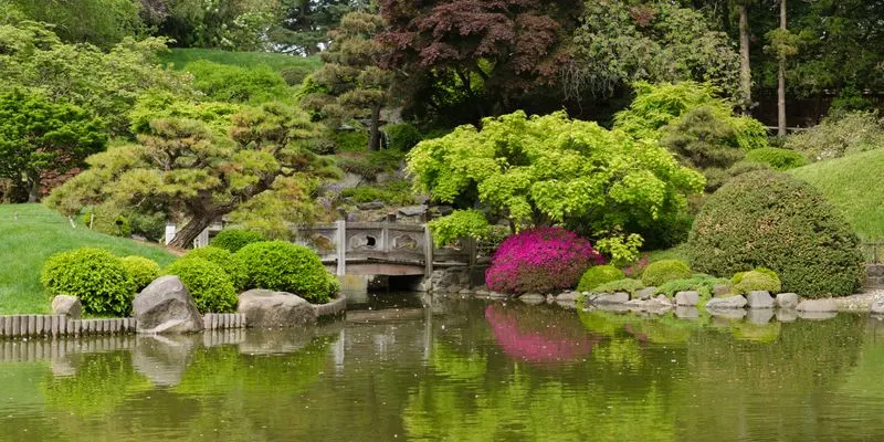 Brooklyn Botanic Garden, New York