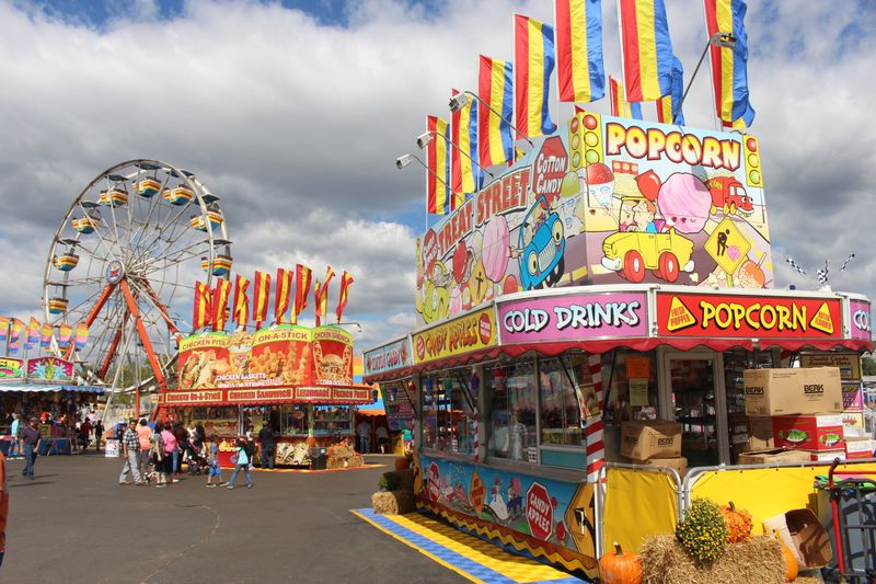 Georgia National Fair