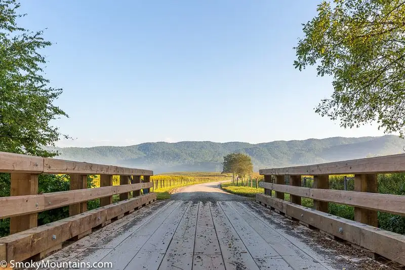 Cades Cove Loop Road