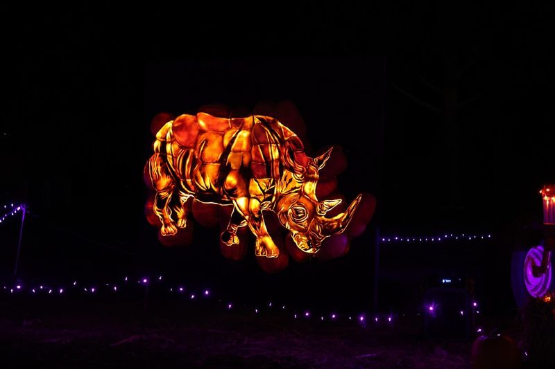 Racine Zoo Chinese Lantern Festival, Wisconsin