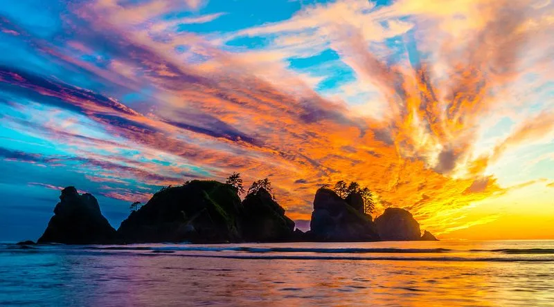 Olympic National Park