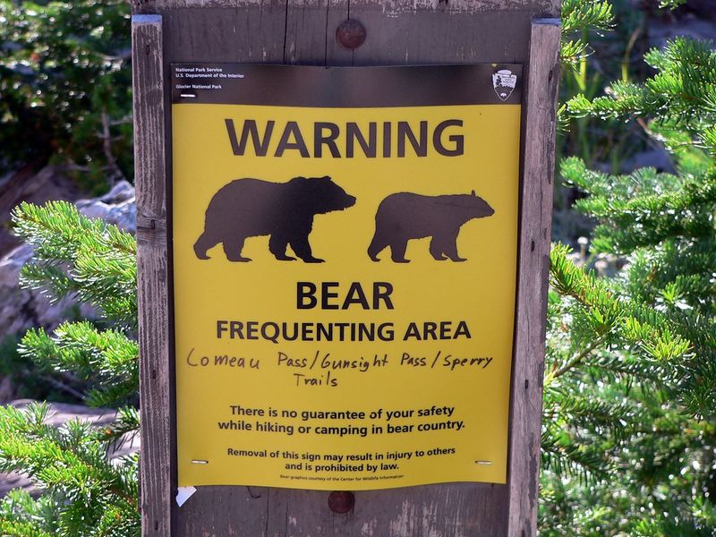 Ignoring Park Safety Guidelines