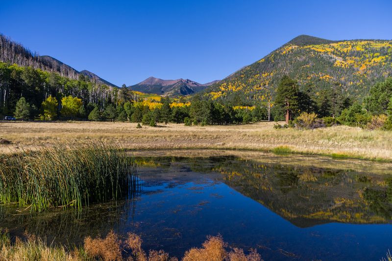 Lockett Meadow