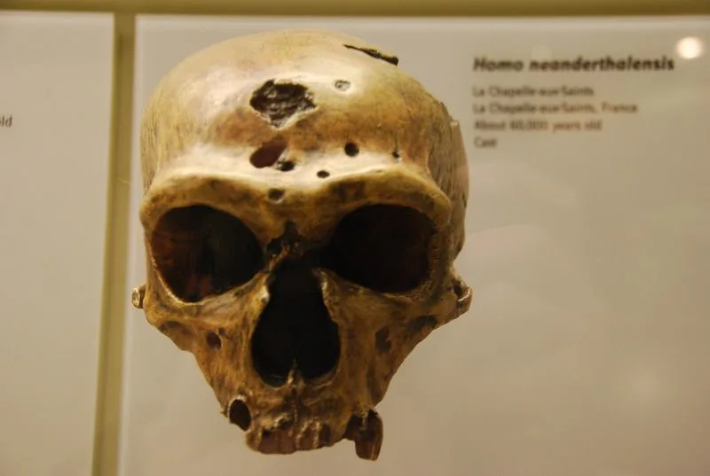 Hall of Human Origins