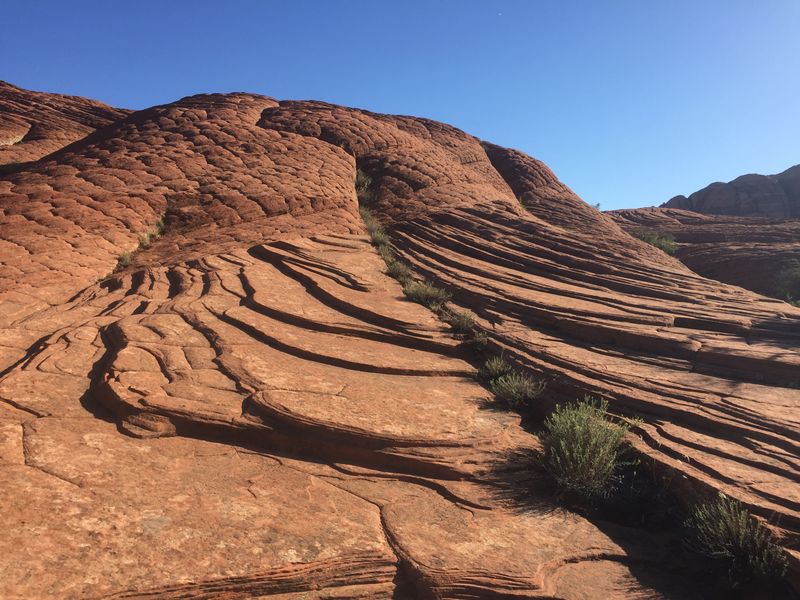November: Desert Tranquility Yoga Retreats
