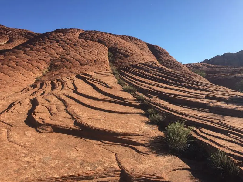 November: Desert Tranquility Yoga Retreats