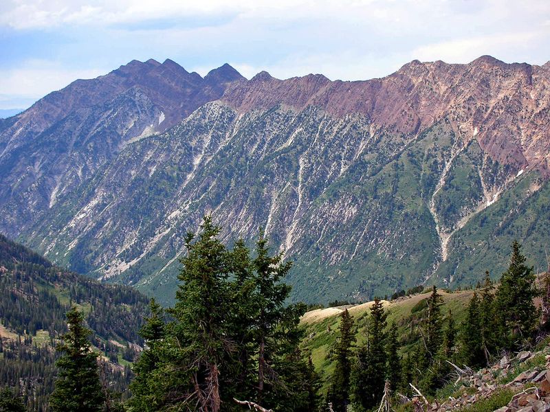 Snowbird Ski & Summer Resort