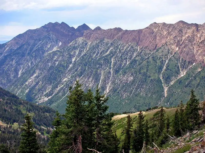Snowbird Ski & Summer Resort