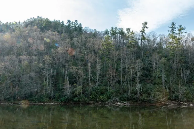 Greenbrier River Trail