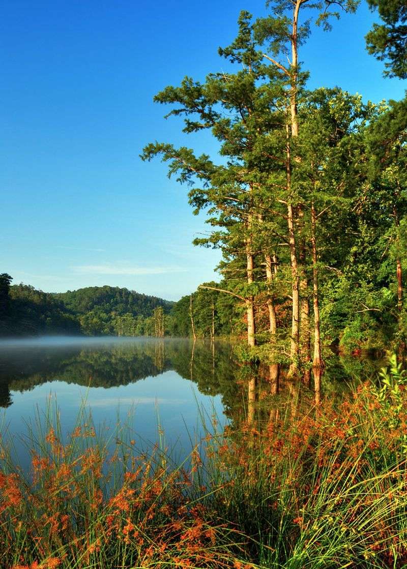 Oklahoma — Beavers Bend State Park