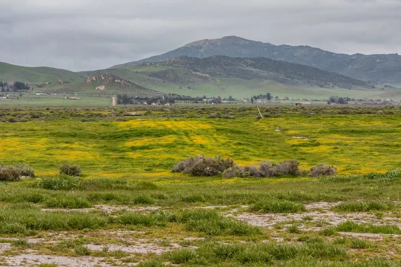 San Luis Obispo to Carrizo Plain National Monument