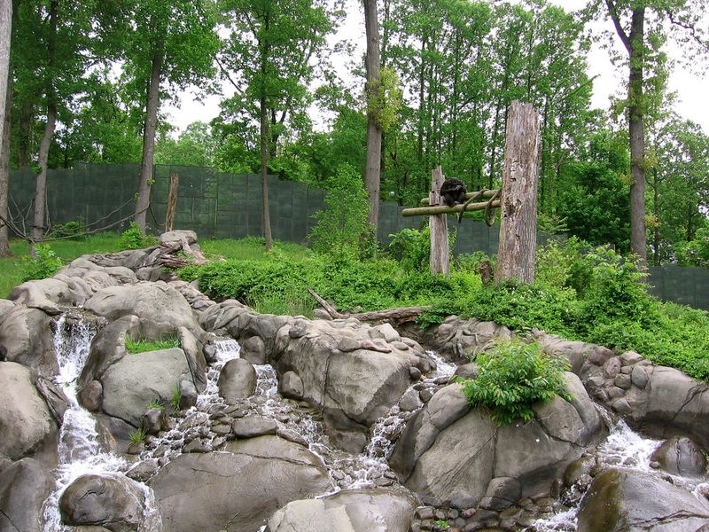 Knoxville Zoo
