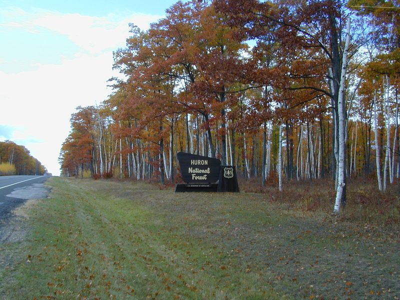 Huron National Forest