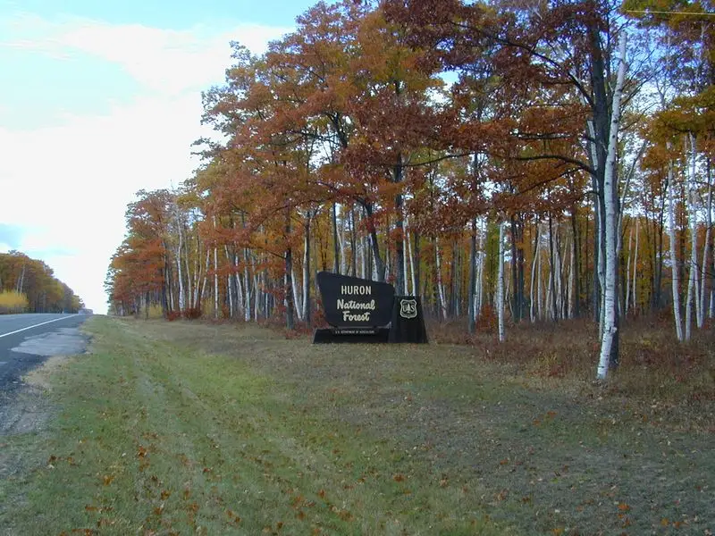 Huron National Forest