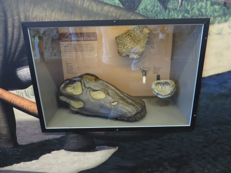 Dinosaur National Monument Quarry Exhibit Hall, Jensen, Utah