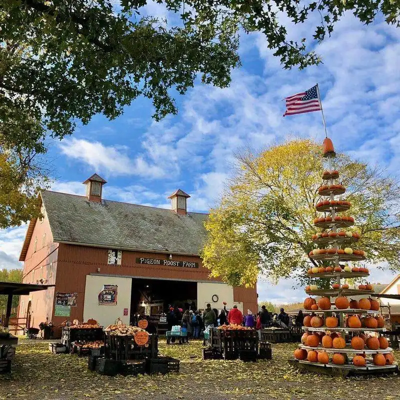 Pigeon Roost Farm PumpkinFest
