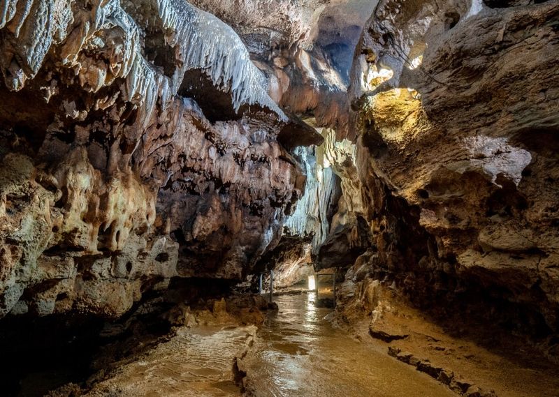 Jacob's Cave – Versailles