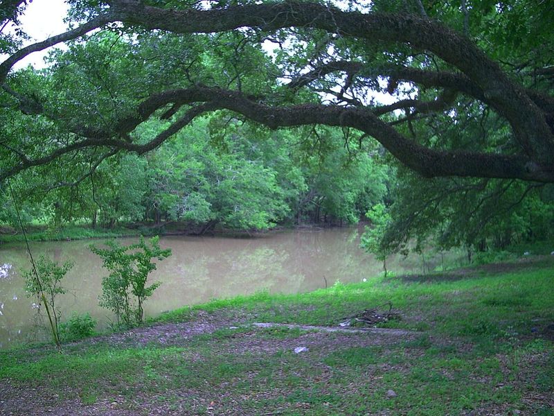 Arnaudville