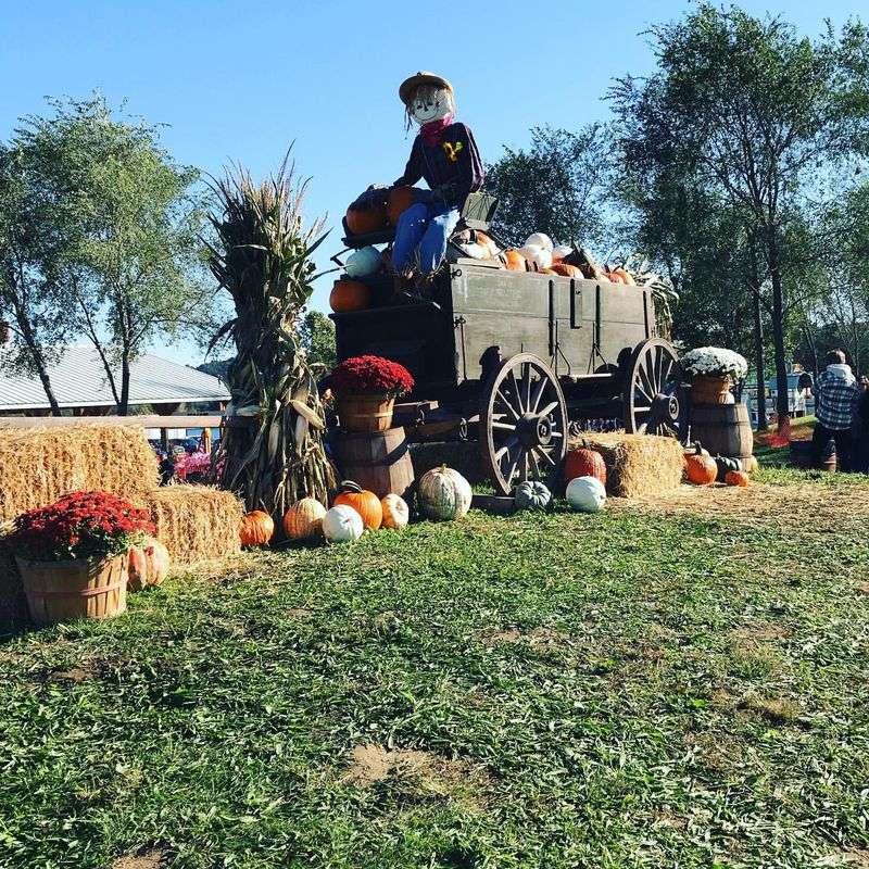 Weber’s Farm Market Pumpkin Festival