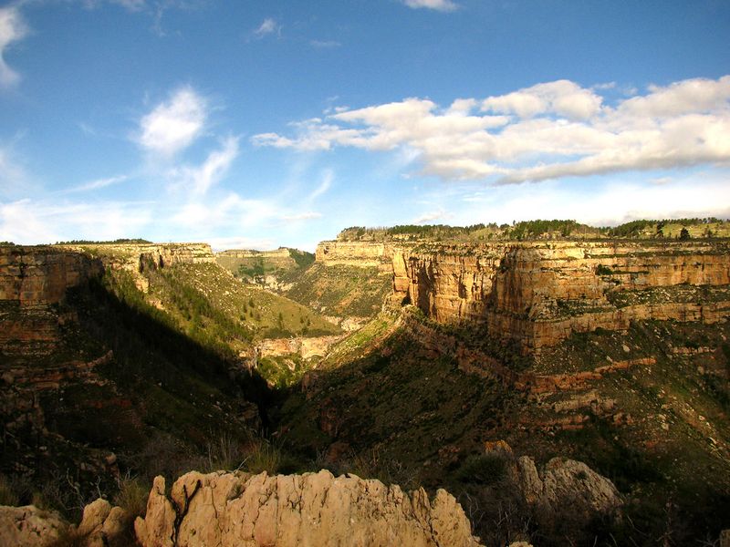 Powder River Views