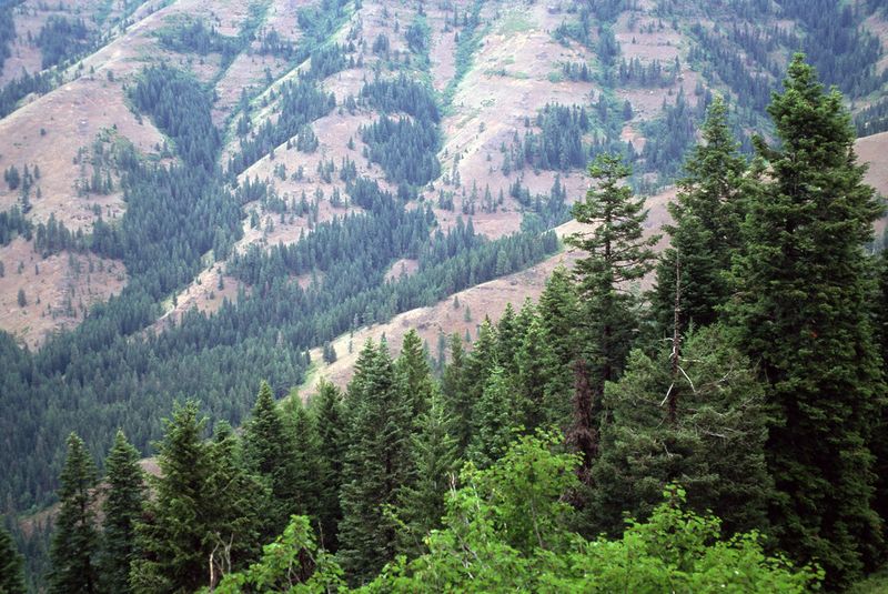 Hiking the Wenaha-Tucannon Wilderness trails