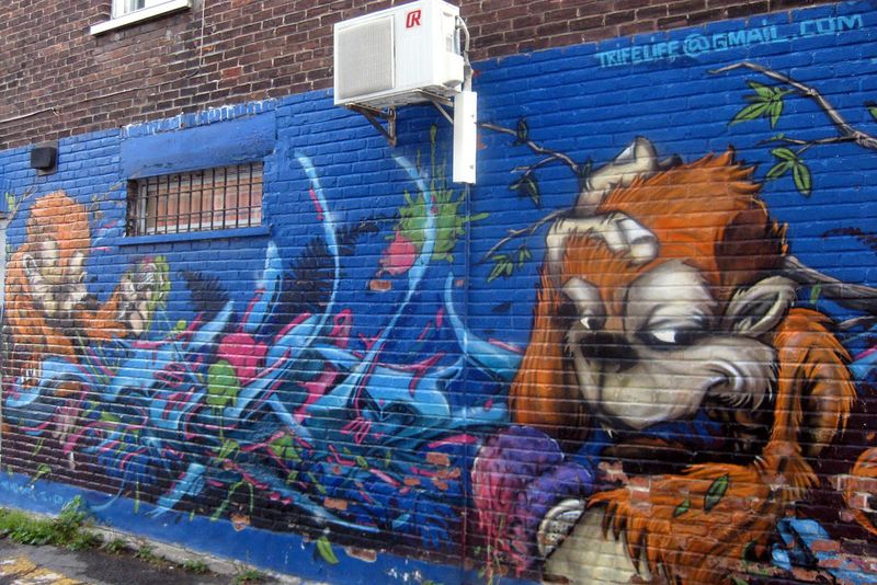 Montreal Plateau Murals, Montreal, Quebec