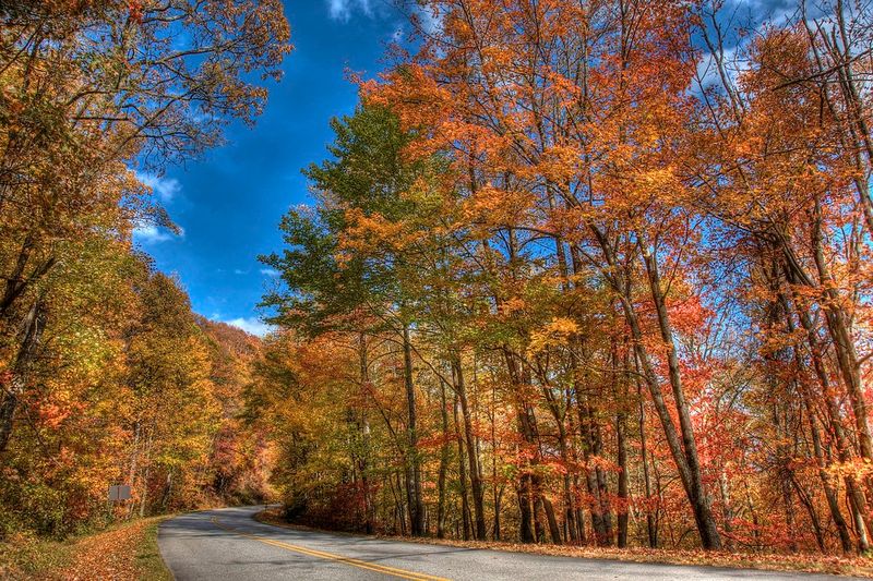 Blue Ridge Parkway