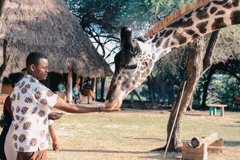 Feeding Wildlife