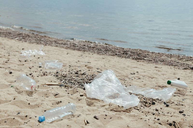 Leaving Litter Behind