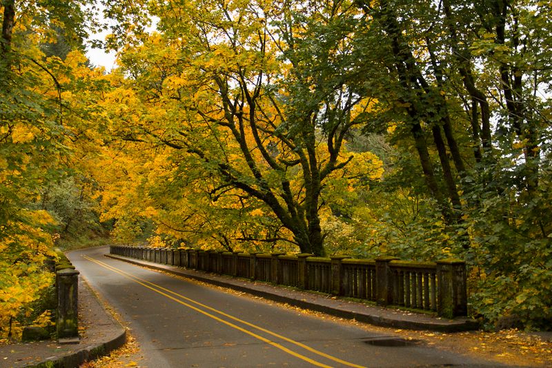 Columbia River Gorge Scenic Highway – Oregon