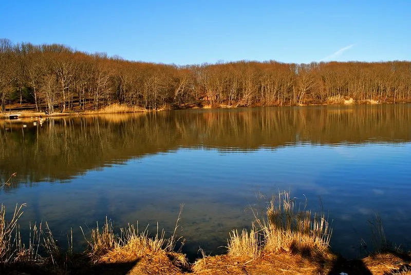 Cheesequake State Park (NJ)