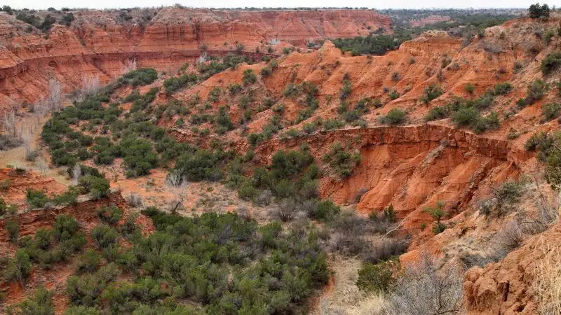 Caprock Canyons State Park