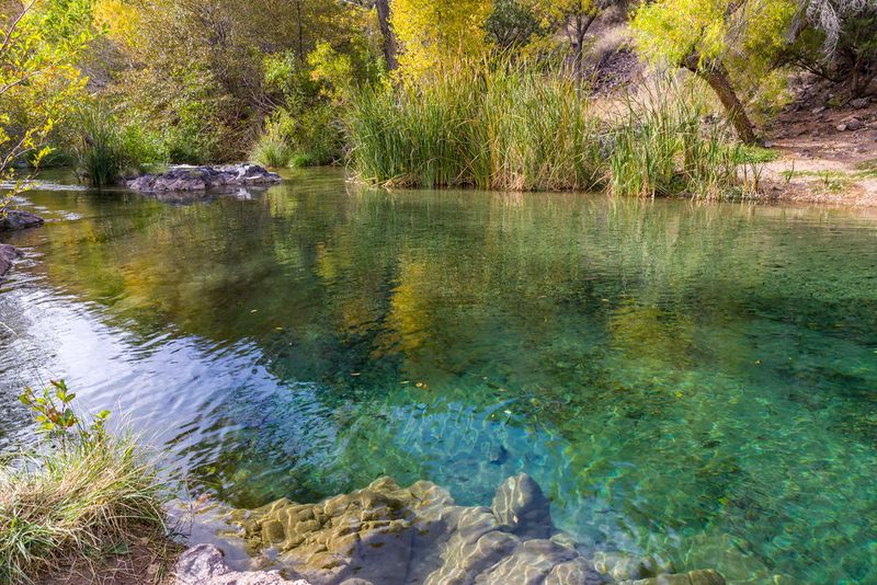 Fossil Creek