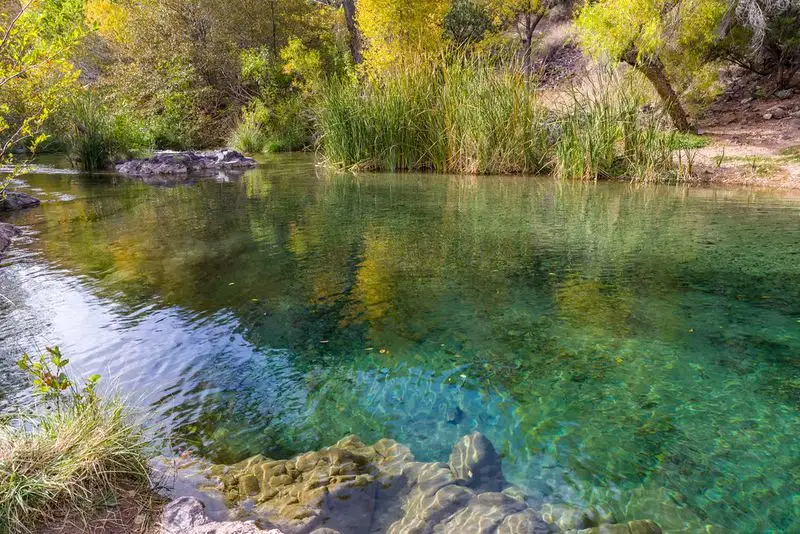 Fossil Creek