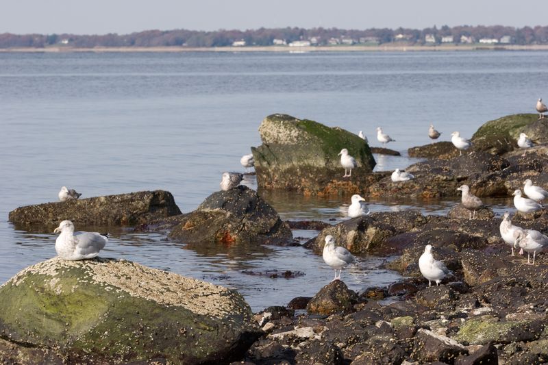 Rhode Island — Colt State Park