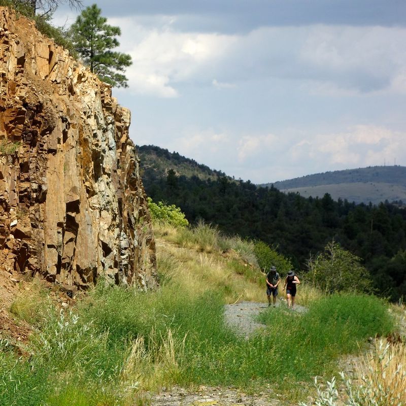 Lynx Lake